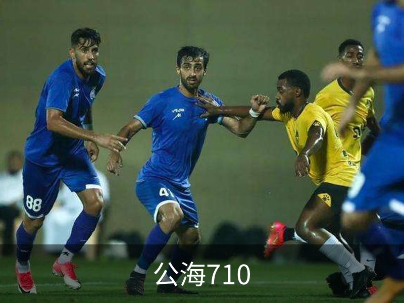 公海710介绍